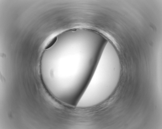 X0000091361375200708101047