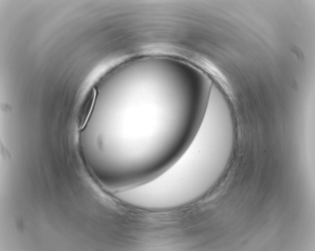 X0000091361376200708101047