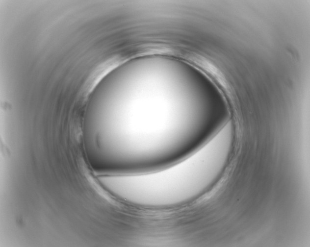 X0000091361377200708101047