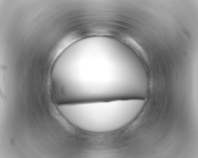 X0000091361378200708101047
