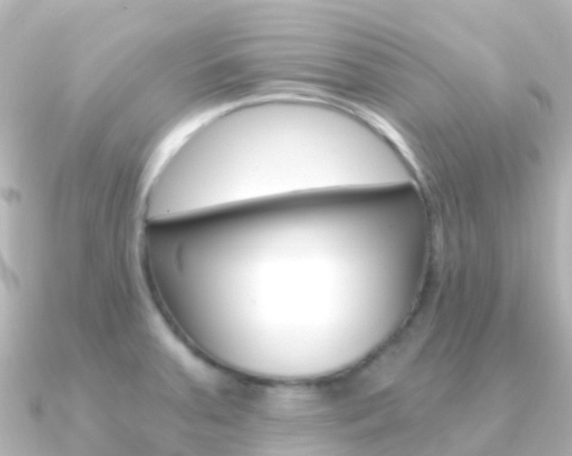 X0000091361379200708101047