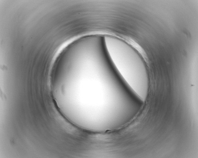 X0000091361380200708101047