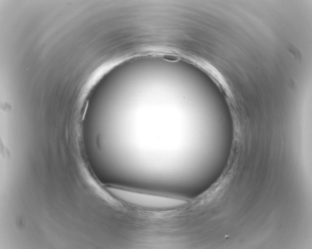 X0000091361381200708101047