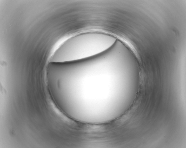 X0000091361382200708101047