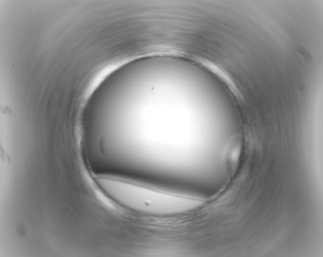 X0000091361383200708101047
