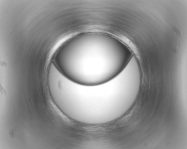 X0000091361384200708101047