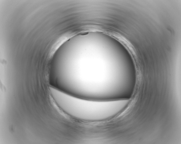 X0000091361385200708101047
