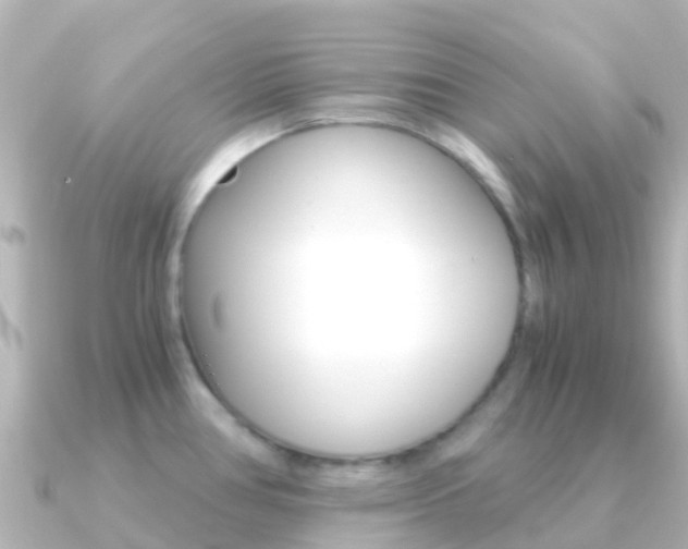 X0000091361386200708101047