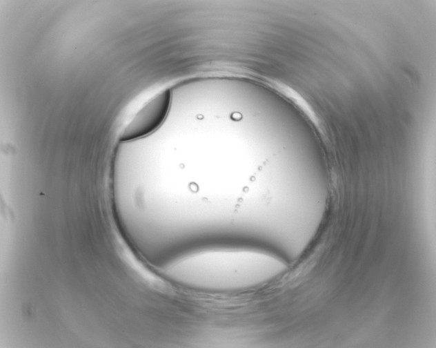 X0000091361387200708101047