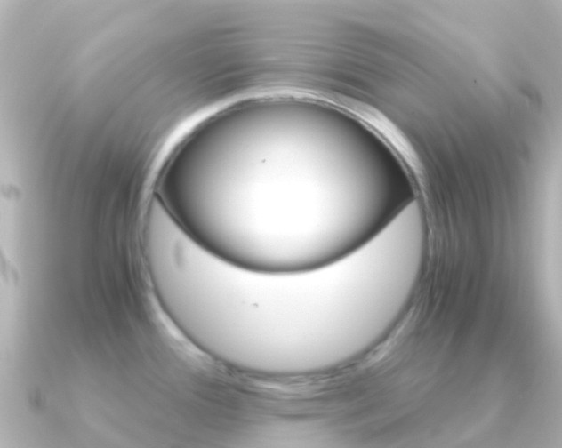 X0000091361388200708101047