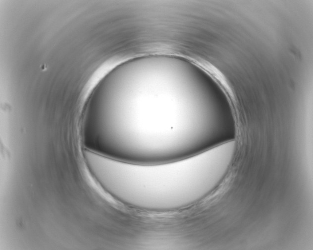 X0000091361389200708101047