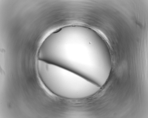 X0000091361391200708101047