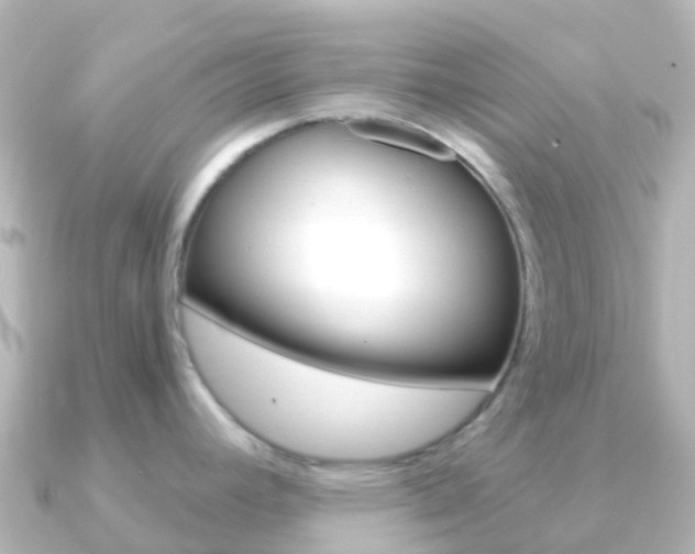X0000091361392200708101047