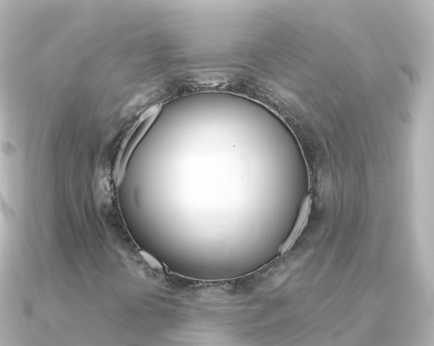 X0000091361394200708101046