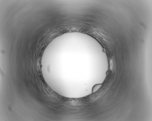 X0000091361395200708101046