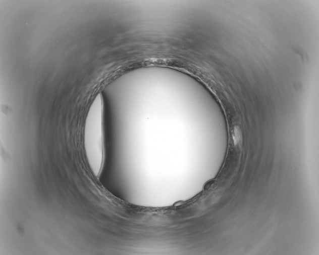 X0000091361396200708101046