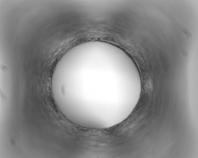 X0000091361397200708101046