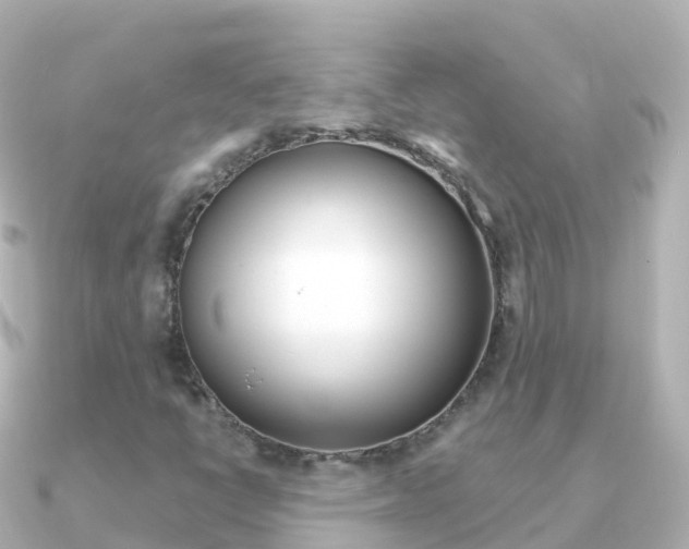 X0000091361398200708101046