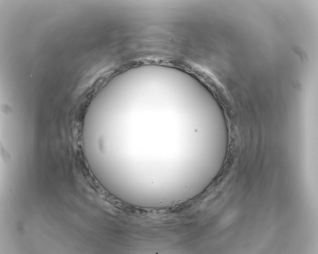 X0000091361399200708101046