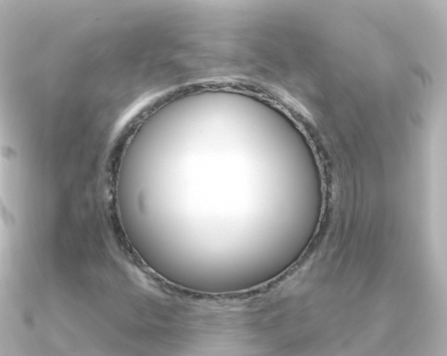 X0000091361400200708101046