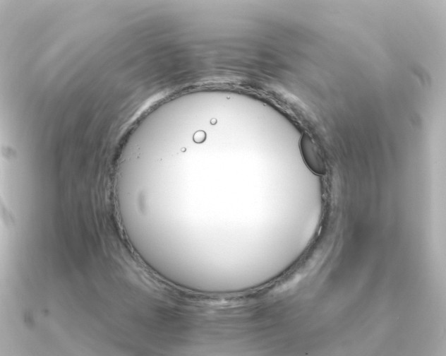X0000091361401200708101046