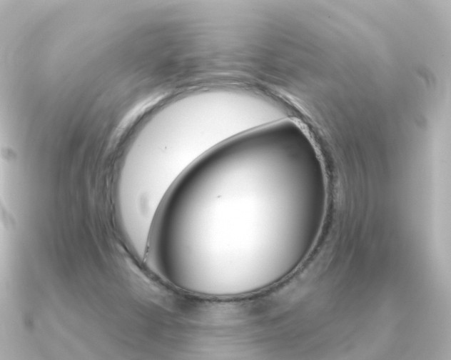 X0000091361402200708101046