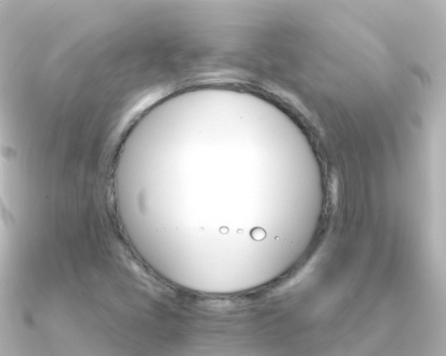 X0000091361405200708101046