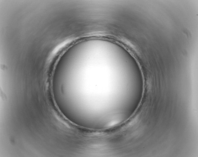 X0000091361406200708101046