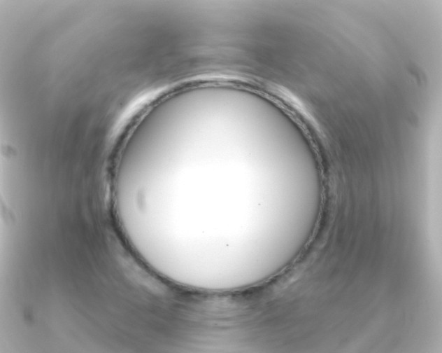 X0000091361408200708101046
