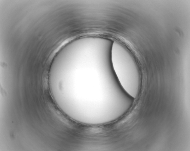 X0000091361409200708101046