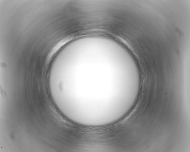 X0000091361410200708101046