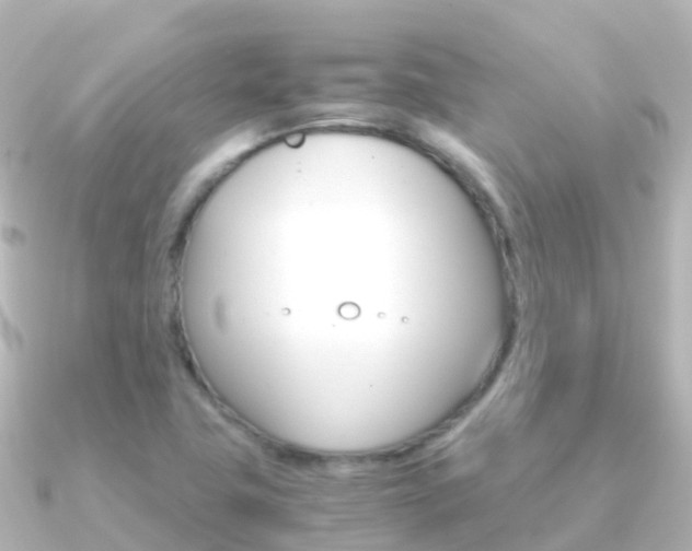 X0000091361411200708101046