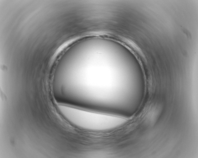 X0000091361412200708101046