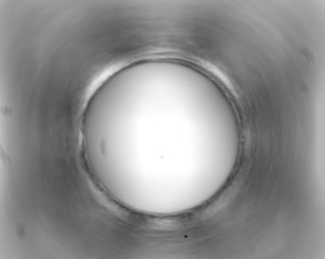 X0000091361413200708101046