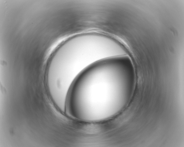 X0000091361414200708101046