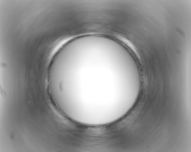 X0000091361415200708101046