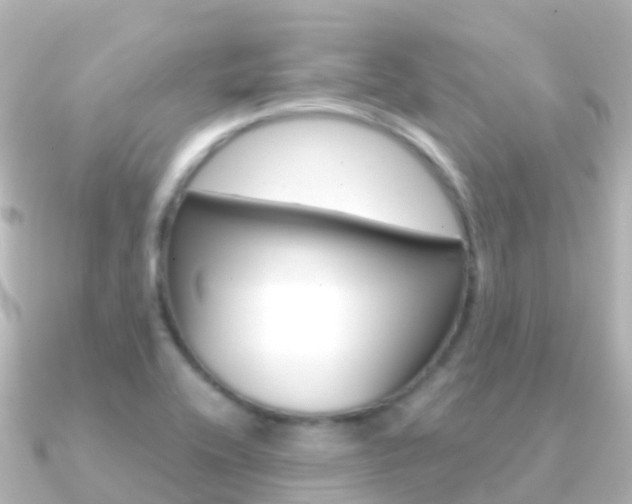 X0000091361416200708101046