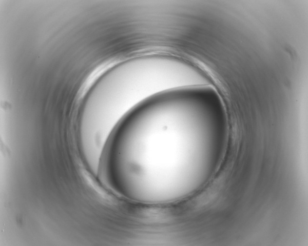 X0000091361418200708101046