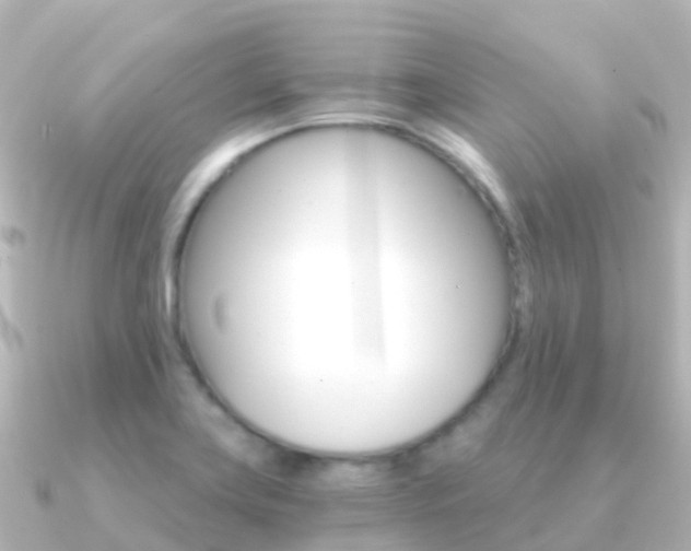 X0000091361419200708101047