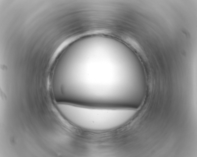 X0000091361420200708101047
