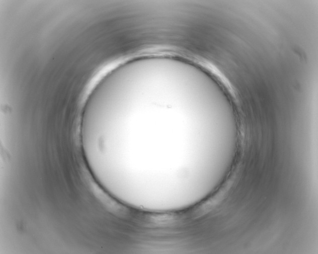 X0000091361421200708101047