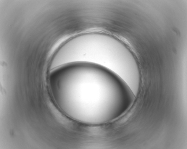 X0000091361422200708101047