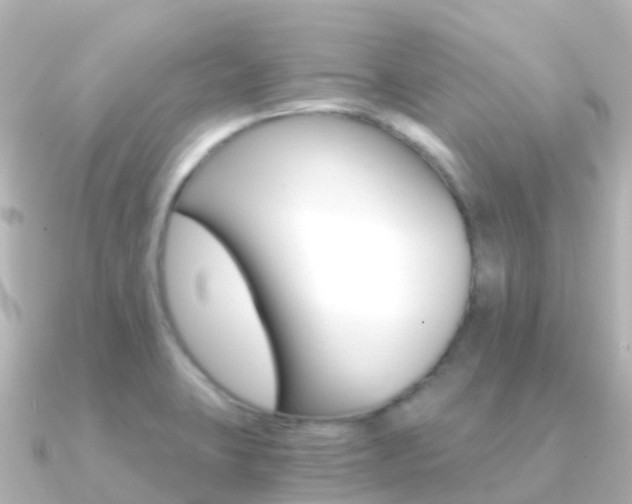 X0000091361423200708101047