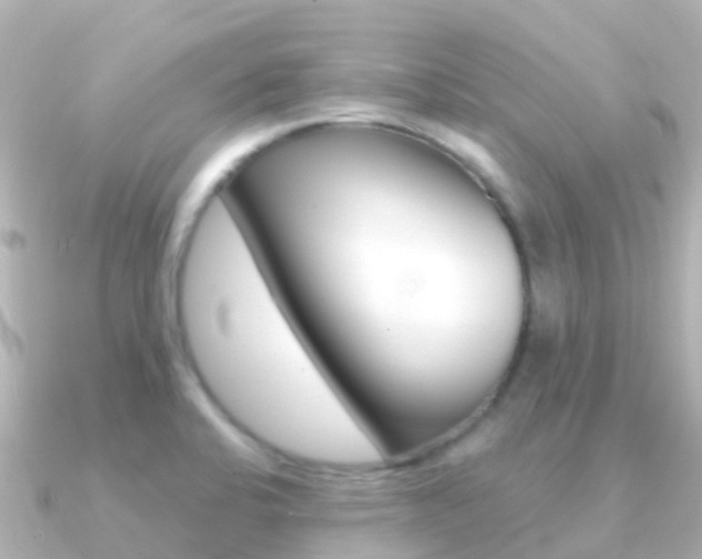 X0000091361424200708101047