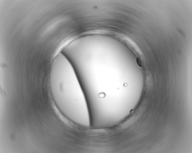X0000091361425200708101047