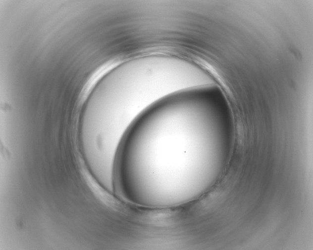 X0000091361426200708101047