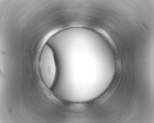 X0000091361427200708101047