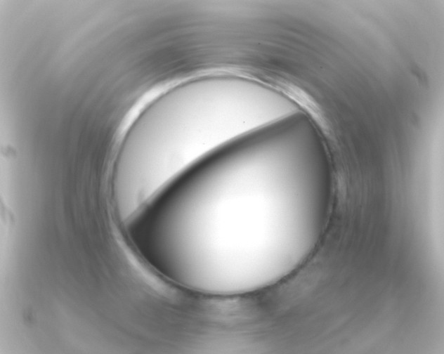 X0000091361428200708101047
