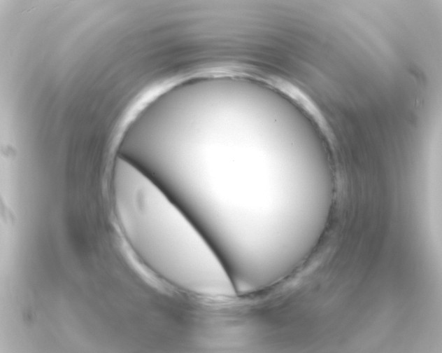 X0000091361429200708101047