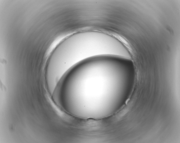 X0000091361430200708101047